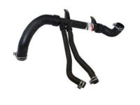 OEM 2000 Lincoln LS Lower Hose - 1W4Z-8286-CA