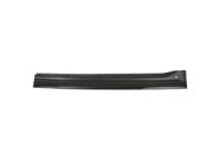 OEM Ford F-250 Super Duty Body Side Molding - 5C3Z-2825532-AAJ