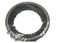 OEM Ford Excursion Inner Seal - 2C3Z-1177-AA