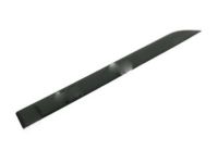 OEM 2000 Ford Focus Body Side Molding - 5S4Z-5425532-AAPTM