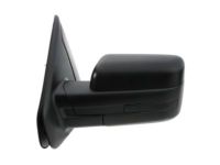 OEM 2012 Ford F-150 Mirror Outside - BL3Z-17683-BA