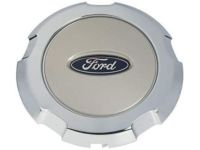 OEM 2004 Ford F-150 Center Cap - 4L3Z-1130-DD