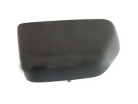 OEM Ford F-150 Mirror Cover - FL3Z-17D742-DA