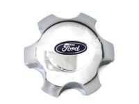 OEM 2013 Ford F-150 Center Cap - DL3Z-1130-C