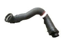 OEM 1994 Ford F-250 Lower Hose - F4TZ-8286-D