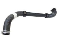 OEM 2002 Lincoln LS Lower Hose - 1W4Z-8286-DA