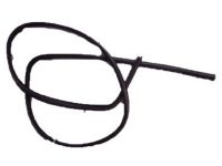 Ford 2L1Z-78404A06-BA