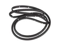 OEM Ford Escape Door Weatherstrip - CJ5Z-7820530-A