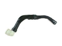 OEM 2014 Ford Escape Upper Hose - CV6Z-8260-N