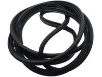 OEM Ford Transit-350 HD Surround Weatherstrip - CK4Z-61404A06-C