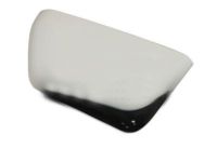 OEM 2016 Ford F-150 Mirror Cover - FL3Z-17D743-EA