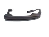 OEM Lincoln MKS Handle, Outside - 8A5Z-5422404-BAPTM