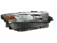 OEM Ford Special Service Police Sedan Composite Assembly - DG1Z-13008-B