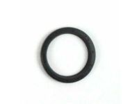 OEM Extension Housing Seal - 6L2Z-7052-CA