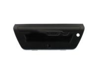 OEM Ford F-150 Handle - FL3Z-9943400-GBPTM