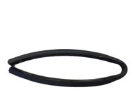 OEM 2019 Lincoln Nautilus Lower Weatherstrip - FA1Z-5820759-B