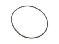 OEM Lincoln Navigator Pulley Gasket - F1VY-8507-A