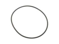 OEM Ford F-150 Pulley Gasket - F1VY-8507-A