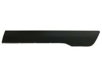 OEM Ford Transit Connect Body Side Molding - DT1Z-6129077-DB