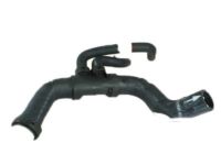 OEM 2012 Ford F-150 Lower Hose - BL3Z-8286-C