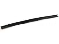 OEM 2009 Ford F-350 Super Duty Lower Weatherstrip - 1C3Z-26253A24-A