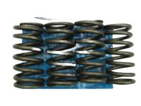 OEM Lincoln Town Car Valve Springs - F1AZ-6513-A