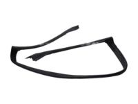 OEM Ford Mustang Weatherstrip - AR3Z-7603110-A