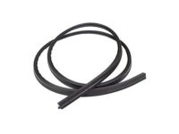 OEM 2004 Ford Escape Weatherstrip - YL8Z-7843720-AA