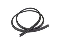 OEM 2006 Mercury Mariner Weatherstrip - YL8Z-7843720-AA