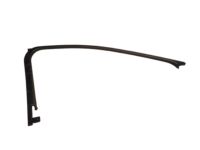 OEM Ford Escape Window Molding - CJ5Z-7851753-AA