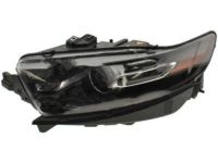OEM Ford Special Service Police Sedan Composite Assembly - DG1Z-13008-P