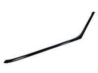 OEM 2019 Ford Flex Window Molding - 8A8Z-7420550-A