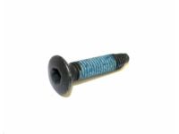 OEM 2010 Lincoln Navigator Striker Plate Screw - -W714070-S900