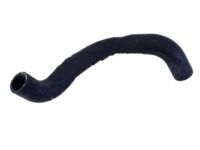 OEM 2002 Ford Explorer Upper Hose - 1L2Z-8260-BA