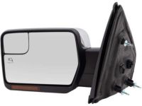 OEM 2012 Ford F-150 Mirror - BL3Z-17683-EA