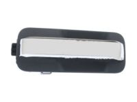 OEM 2017 Ford F-150 Handle, Inside - HL3Z-1522600-AA