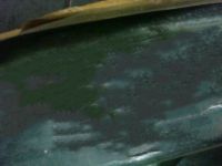 OEM 1998 Ford Crown Victoria Body Side Molding - 5W7Z-5420878-BPTM