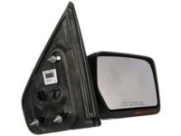 OEM 2013 Ford F-150 Mirror - BL3Z-17682-FAPTM