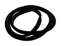 OEM Lincoln Weatherstrip - DP5Z-5443720-B