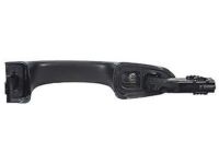 OEM 2018 Ford Fusion Handle, Outside - DS7Z-5422404-AAPTM