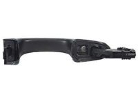 OEM 2019 Ford Edge Handle, Outside - DS7Z-5422404-AAPTM