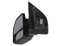 OEM Ford F-250 Super Duty Mirror Assembly - HC3Z-17683-BA