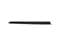 OEM Ford Transit-350 HD Side Molding - BK3Z-6120938-AB