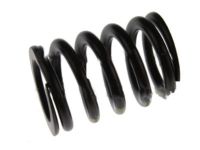 OEM Valve Springs - 2L2Z-6513-AA