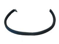 OEM 1999 Ford E-150 Econoline Club Wagon Weatherstrip - F2UZ-1541654-A