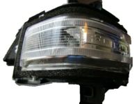 OEM 2019 Ford F-350 Super Duty Signal Lamp - HC3Z-13B374-A