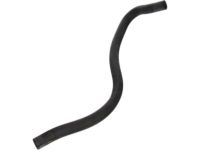 OEM 2003 Ford Excursion Overflow Hose - F81Z-8075-AA