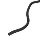 OEM Ford Overflow Hose - F81Z-8075-AA