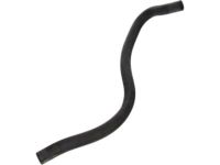 OEM Ford F-250 Super Duty Overflow Hose - F81Z-8075-AA