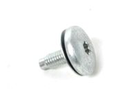 OEM Ford Bronco Headlamp Screw - -W703277-S900